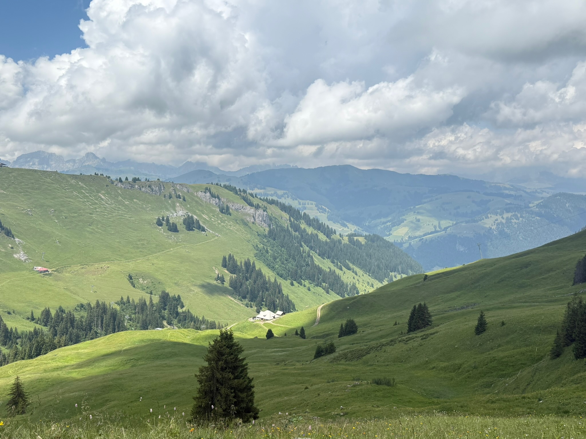Los Alpes suizos